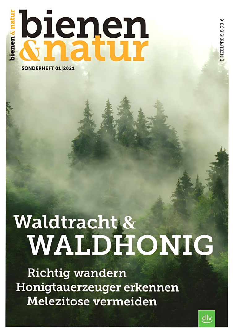 bienen&natur Sonderheft »Waldtracht & Waldhonig«