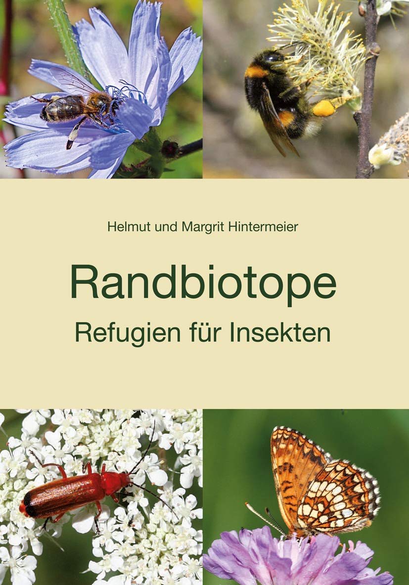 Randbiotope - Refugien für Insekten