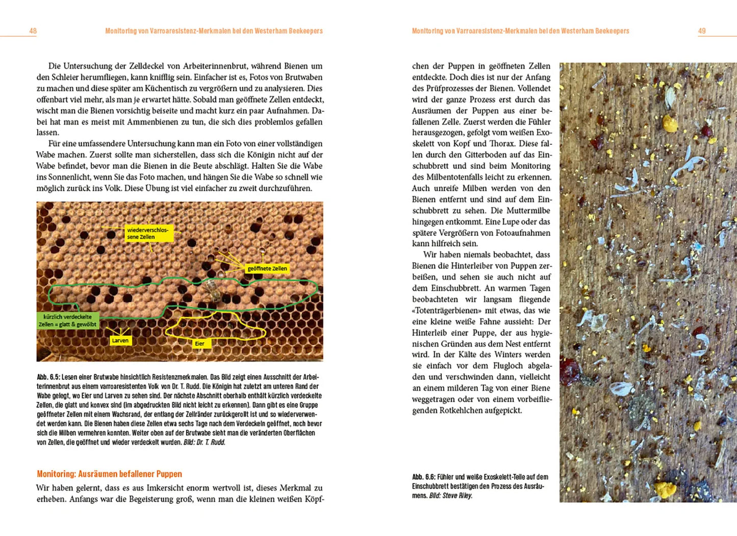 Die Lösung der Honigbiene für das Varroa-Problem