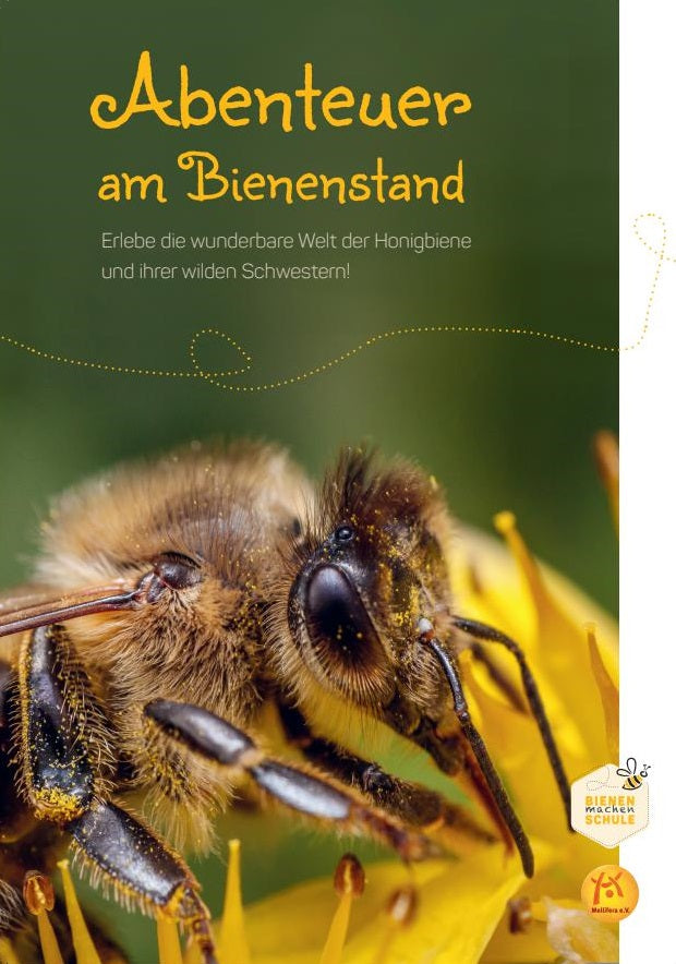 Abenteuer am Bienenstand