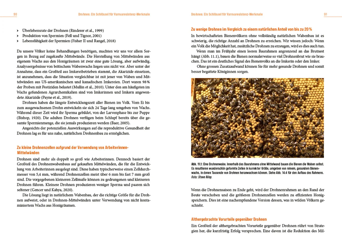 Die Lösung der Honigbiene für das Varroa-Problem
