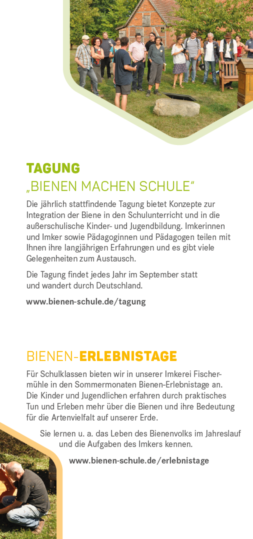 Flyer Initiative Bienen machen Schule