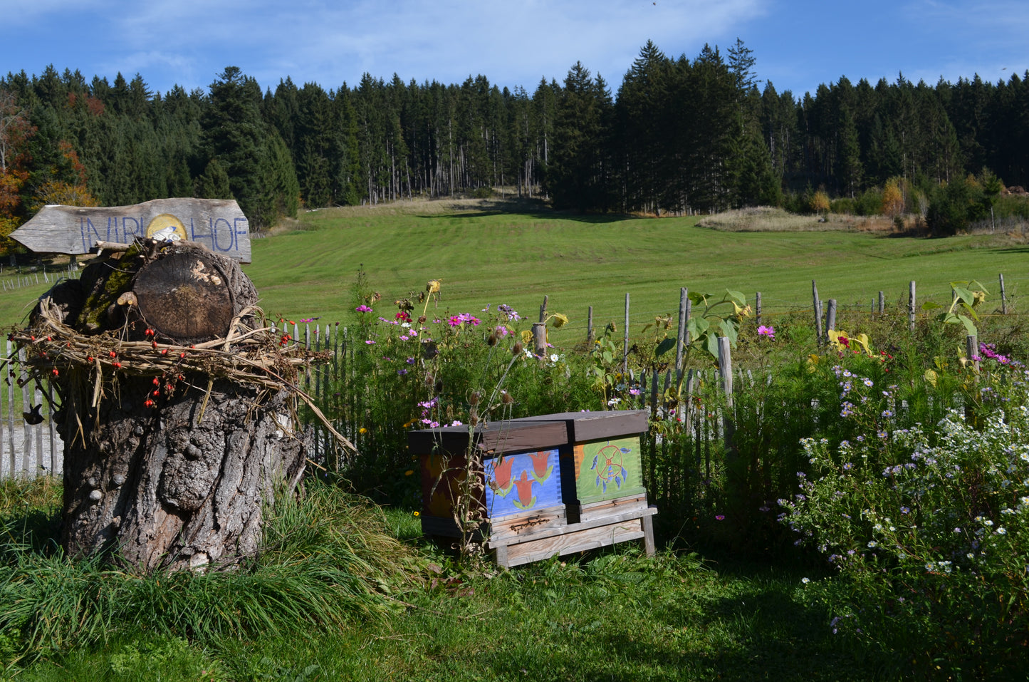 Teilnahmegebühr zum Imkerkurs "Mit den Bienen durchs Jahr" (Ruderatshofen / Allgäu)