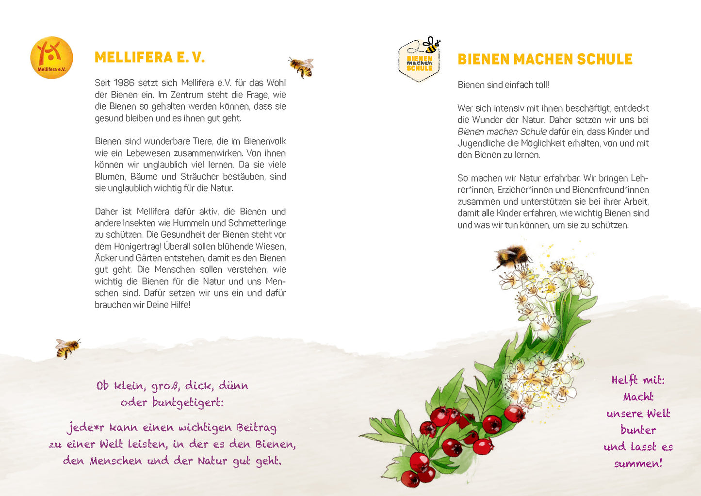 Aktionsheft: Bienen schützen – gemeinsam aktiv