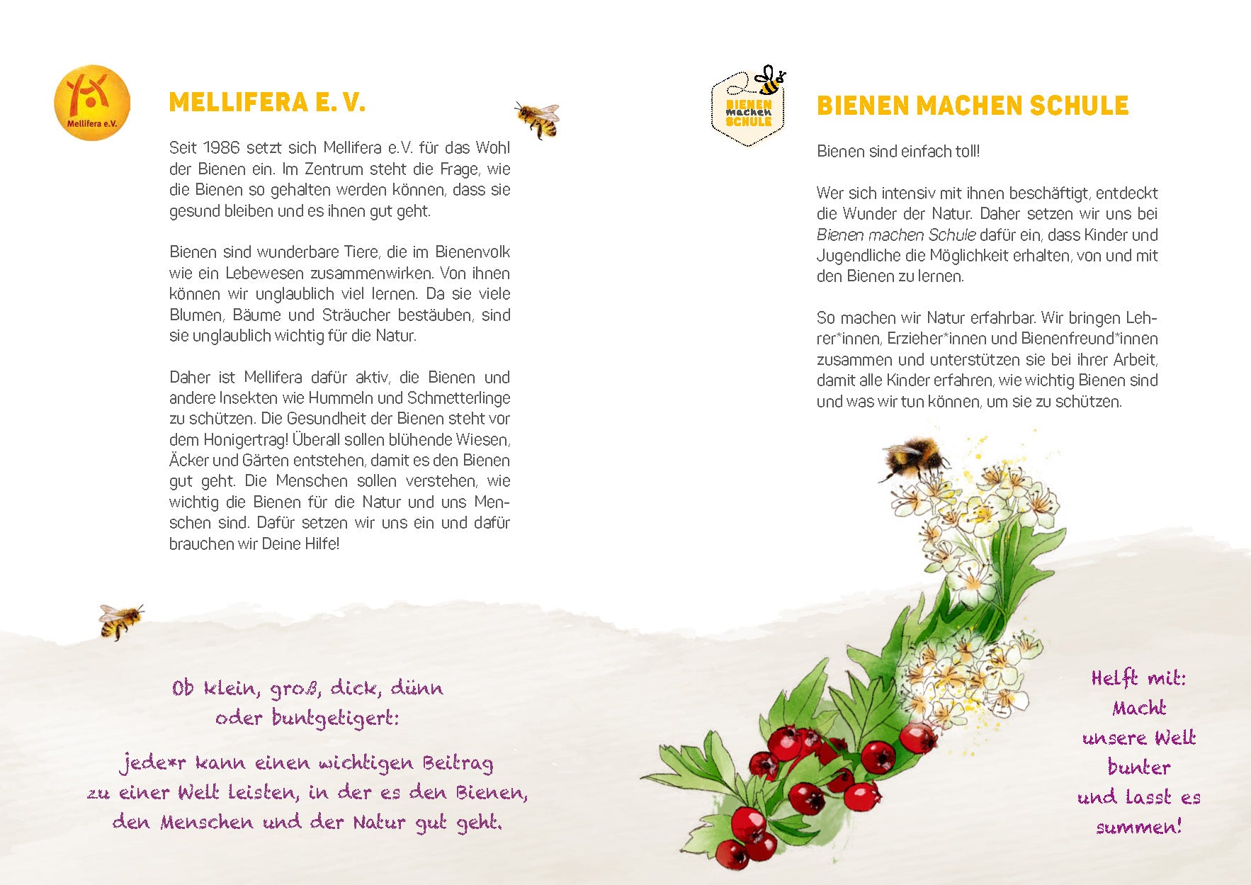 Aktionsheft: Bienen schützen – gemeinsam aktiv