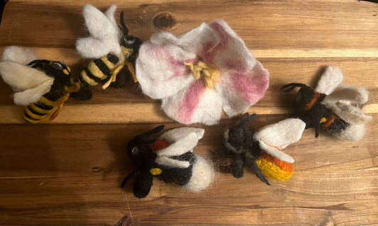 Teilnahmegebühr Workshop Filzen für Bienenpädagogen und Filzkunstinteressierte