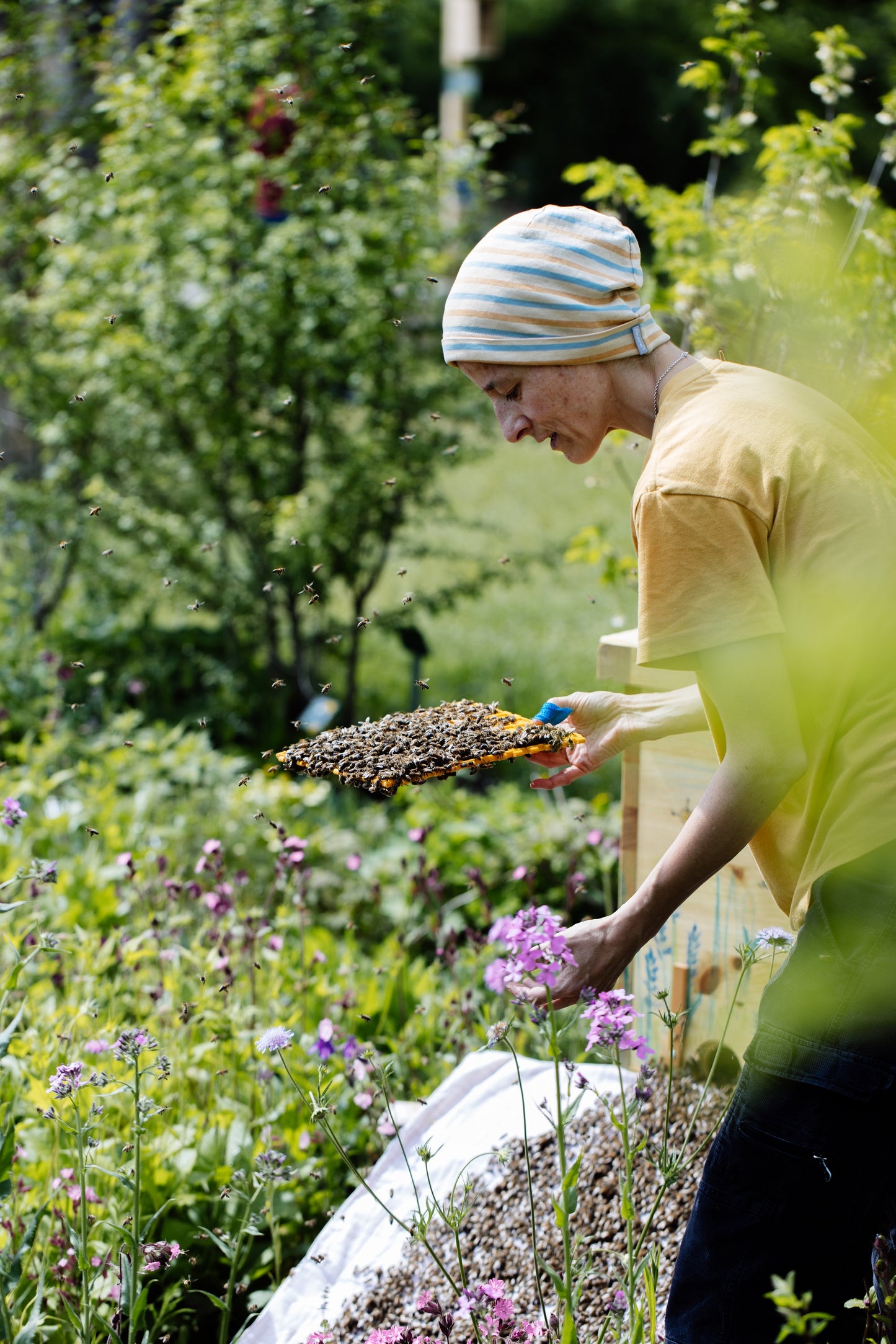 Teilnahmegebühr zum Imkerkurs "Mit den Bienen durchs Jahr" (Karlsruhe)