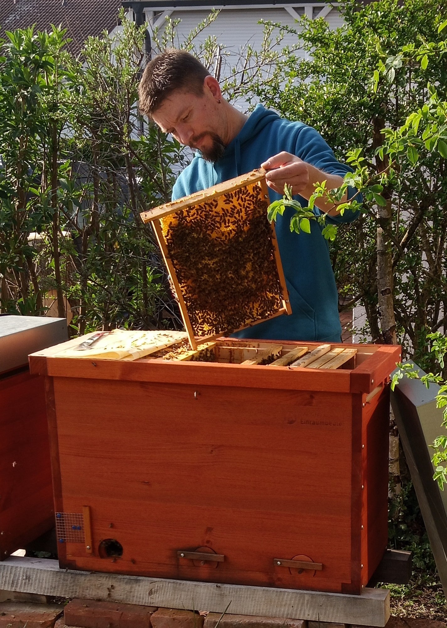 Teilnahmegebühr zum Imkerkurs "Mit den Bienen durchs Jahr" (Lonsee bei Ulm)