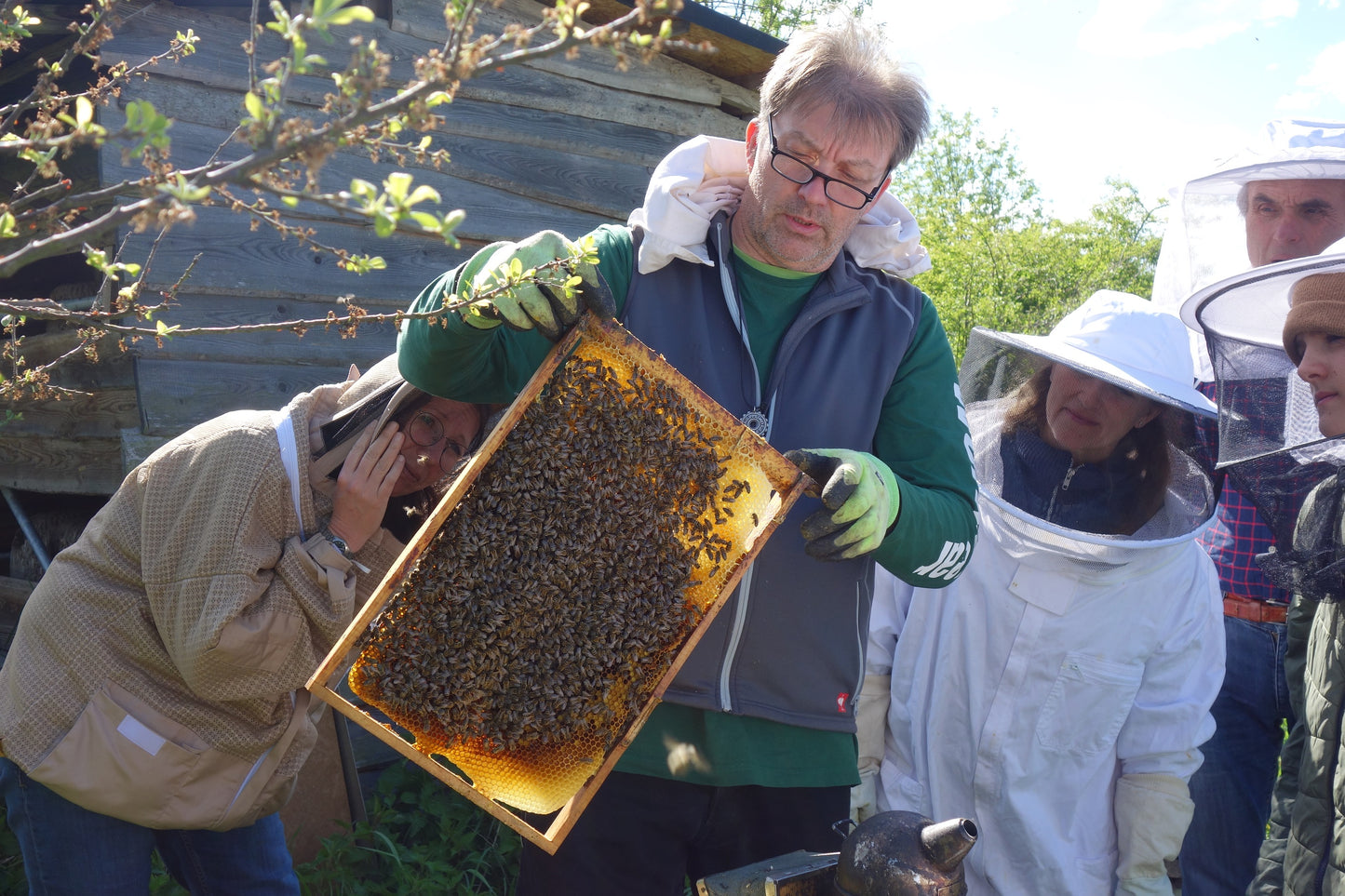 Teilnahmegebühr zum Imkerkurs für Fortgeschrittene "Mit den Bienen durchs Jahr" (Mering)