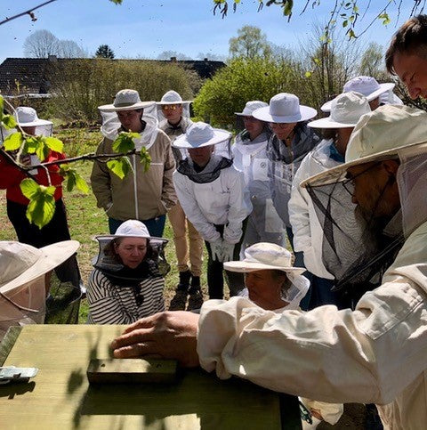 Teilnahmegebühr zum Imkerkurs "Mit den Bienen durchs Jahr" (Samow, Landkreis Rostock)